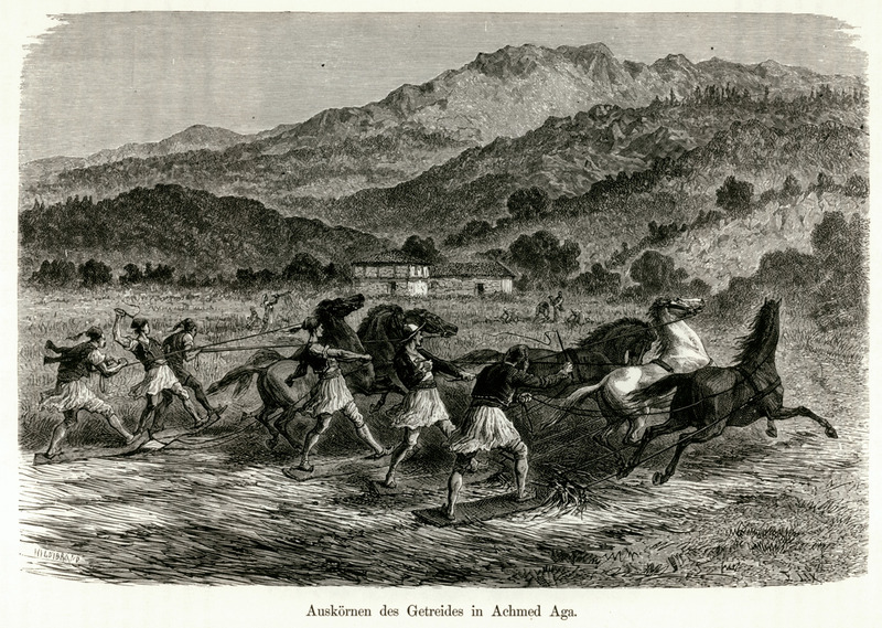 Αλώνισμα στο Προκόπι (Αχμέτ Αγά) της Εύβοιας