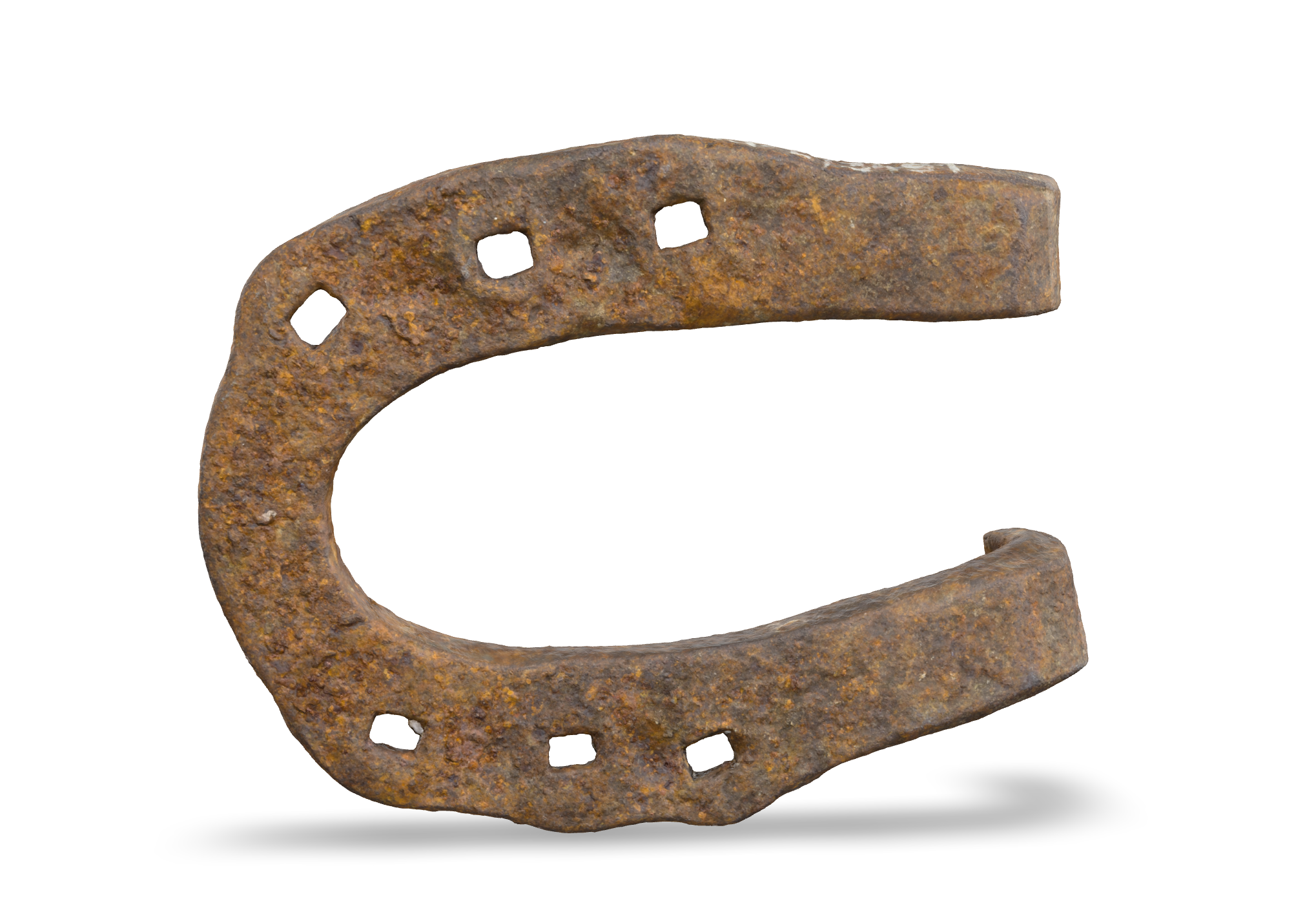 Πέταλο γαϊδουριού