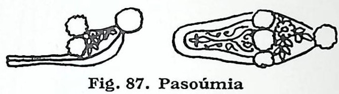 Ενδυμασία γυναίκας χωριού  Μαστιχοχώρια – Πυργί-                87. Πασούμια