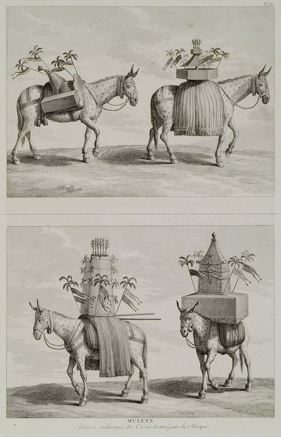 Ιπποειδή με δώρα για τη Μέκκα